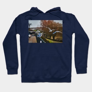 Sitting on the fence Hoodie